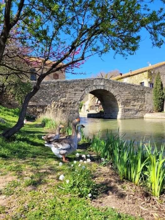 Au Canalet - Le Somail Esterno foto